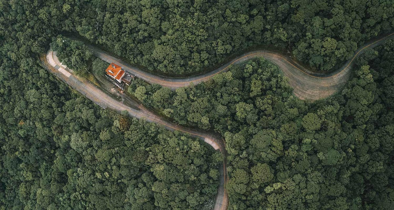 Área verde com via sinuosa que remete ao Parque Estadual do Juqueri, em Franco da Rocha (SP)