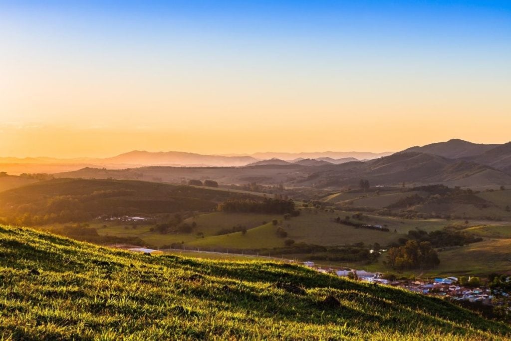 Cafezais no Sul de Minas