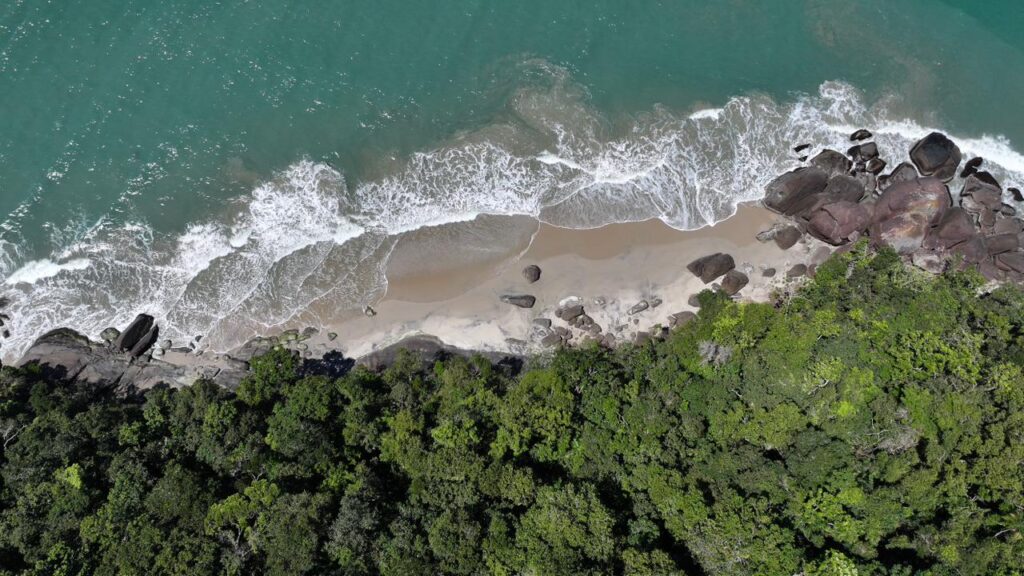 Vista aérea de praia em Ubatuba, com mar azul e faixa de areia cercada por vegetação nativa