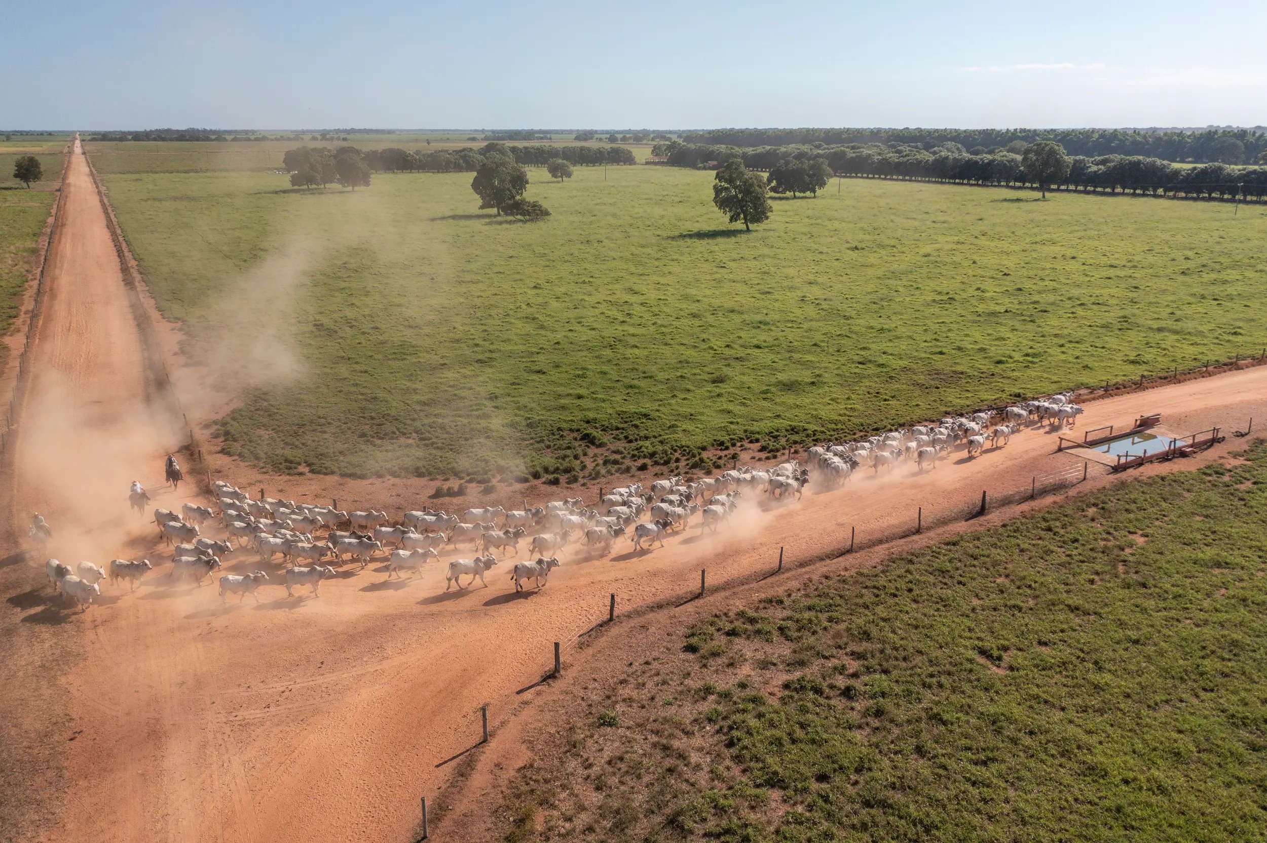 Rodovia cortando paisagem típica do Cerrado, referência ao acesso a Simolândia GO pela BR-020
