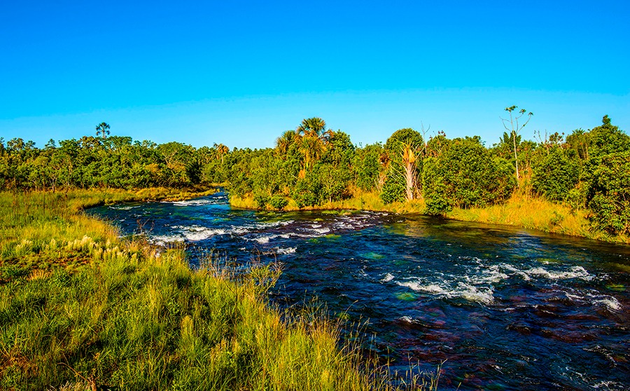 Parque Nacional das Emas, paisagem de Cerrado com rio sinuoso e céu azul, cartão-postal de Mineiros e região