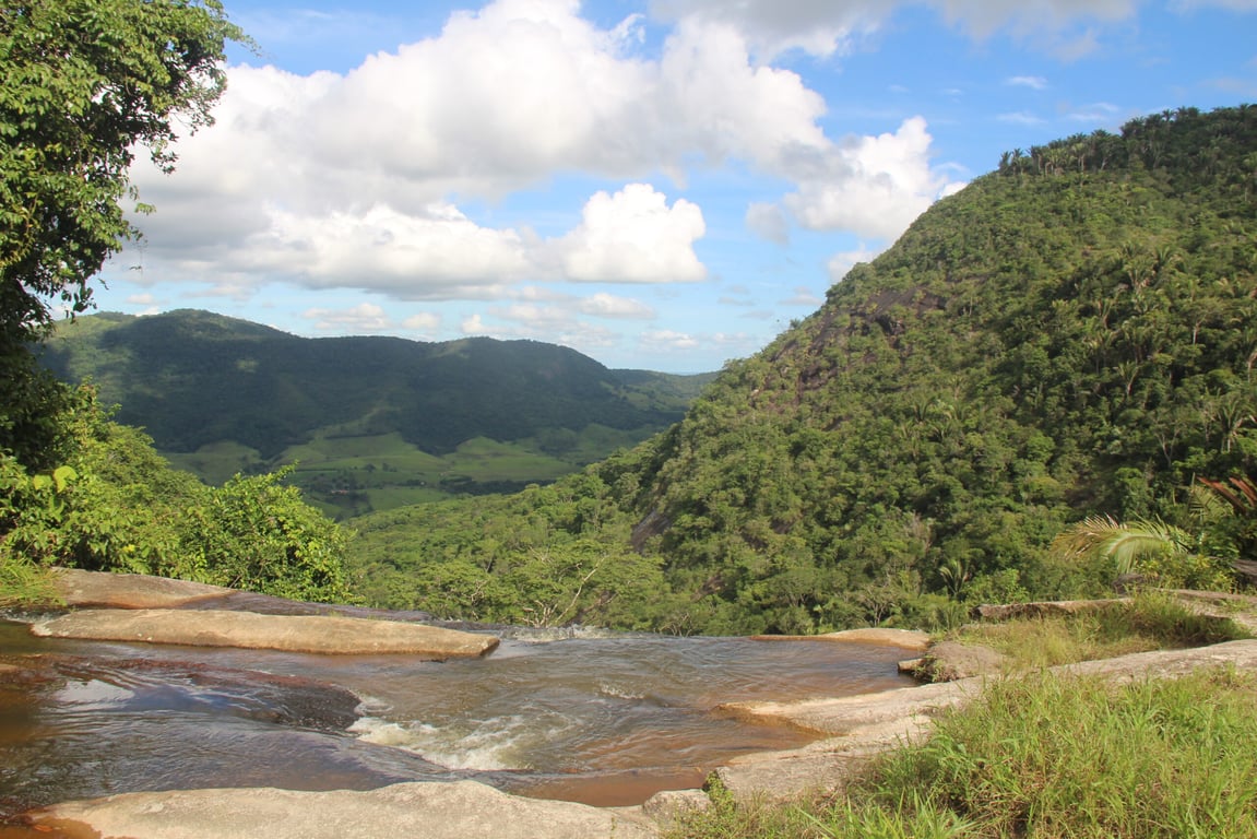Trecho da Mata Atlântica em Alagoas, com vegetação densa e relevo ondulado