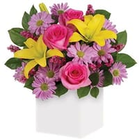 Serenade Flower Arrangement — view 5