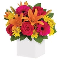 Starburst Splash Flower Arrangement — view 4