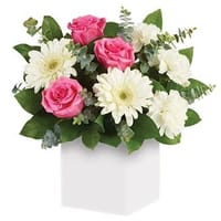 Sweet Thoughts Flower Arrangement with Teddy — view 5