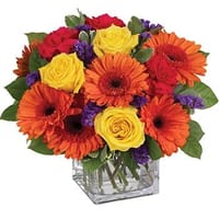Citrus Splash Flower Arrangement — view 5