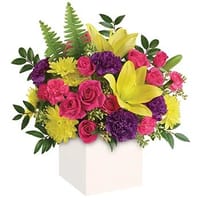 Vivid Delights Vibrant Flowers — view 4