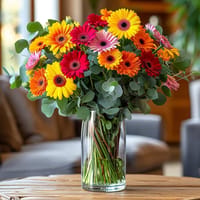 Glorious Gerberas Stunning Flowers — view 2