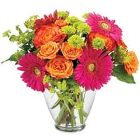 Rainbow Wishes Mixed Arrangement — view 5