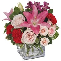 Elegant Mum Mixed Arrangement — view 4