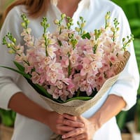 Avalon Pink Orchids Bouquet — view 2