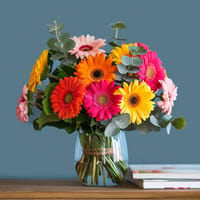 Gerbera Brights — view 4