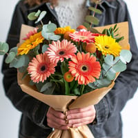 Gerbera Brights — view 3