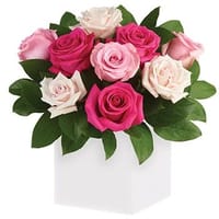 Blushing Roses — view 4