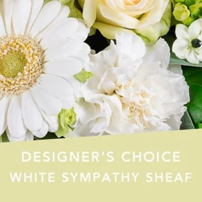 DC White Sympathy Sheaf