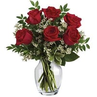 Heart's Delight Stunning Roses — view 4