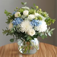 It's a Boy — view 2