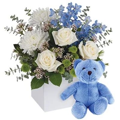 It's a Boy with Teddy