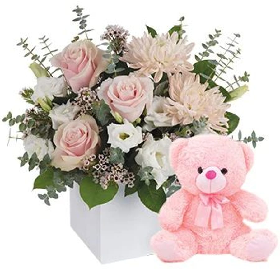 It's a Girl with Teddy