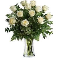Joy of Roses — view 4
