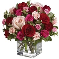 Lovely Melody Roses — view 2