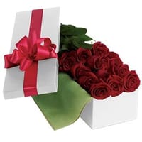 Roses for You — view 4