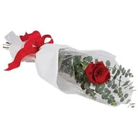 The One and Only Bouquet — view 5