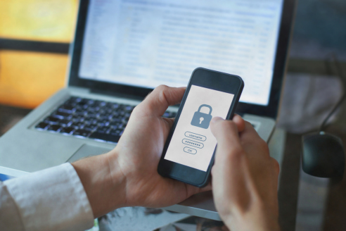 virtual assistant access protocols