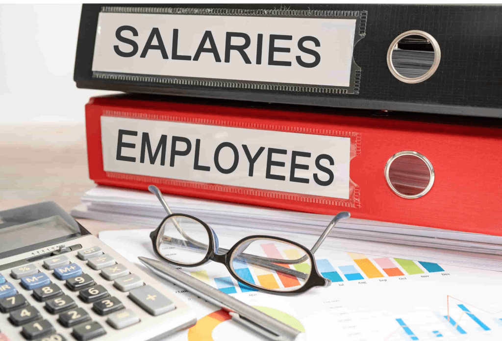 Payroll tasks outsourced by profitable business owners as part of the wide range of HR functions