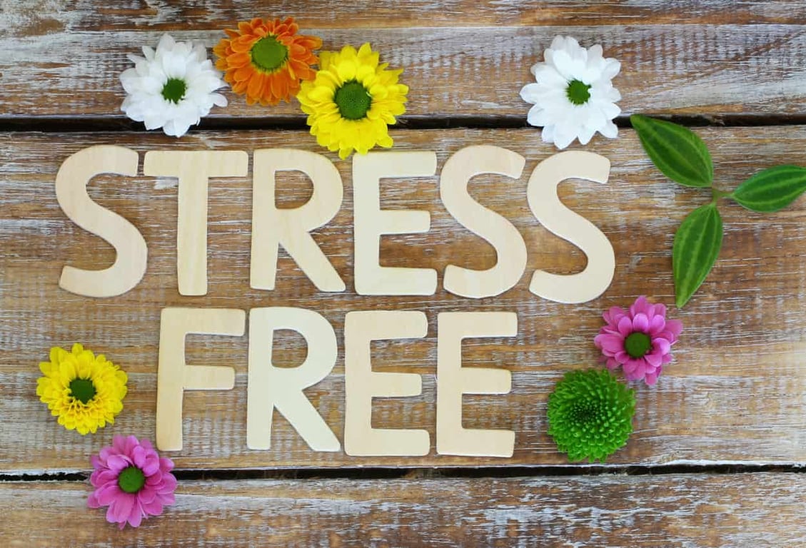 stress free