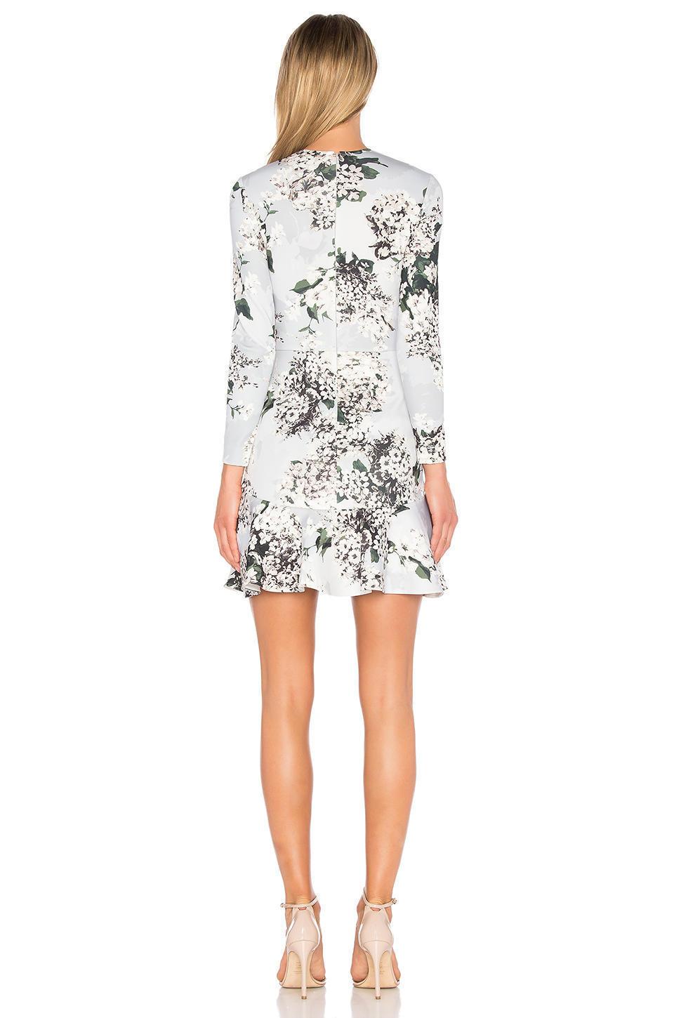 Lover Rosemary Scuba Dress Grey Floral Size 6 photo 3
