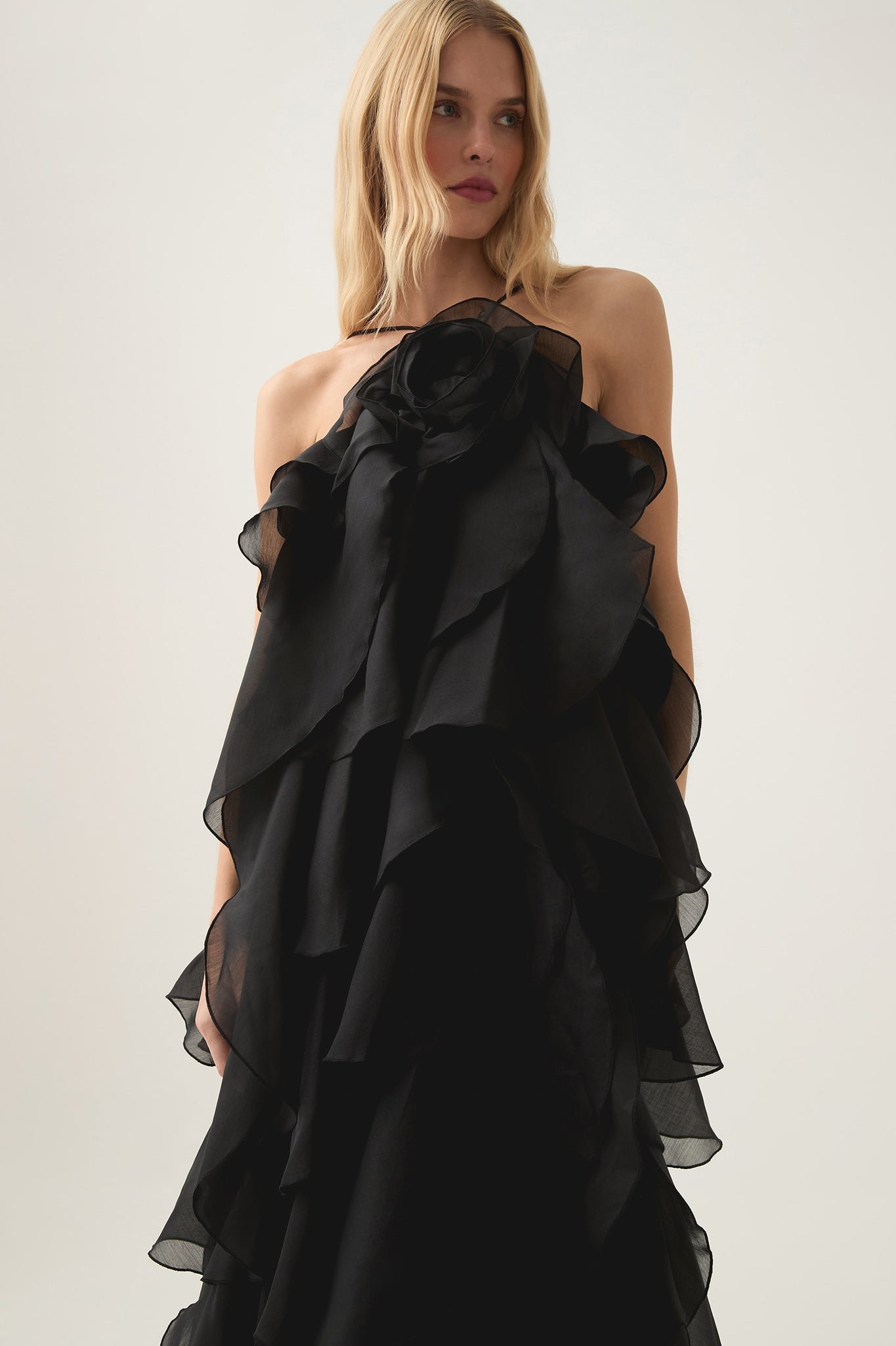 Pandorea Dress in Black photo 9
