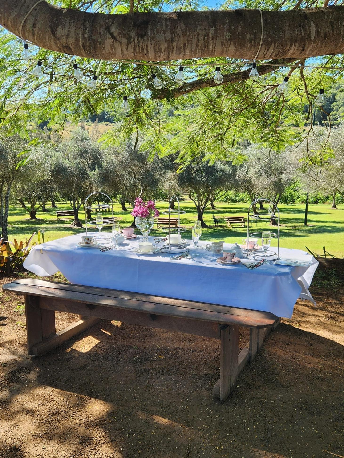 Outdoor Area at Watercress Creek Olives and Limes photo 2