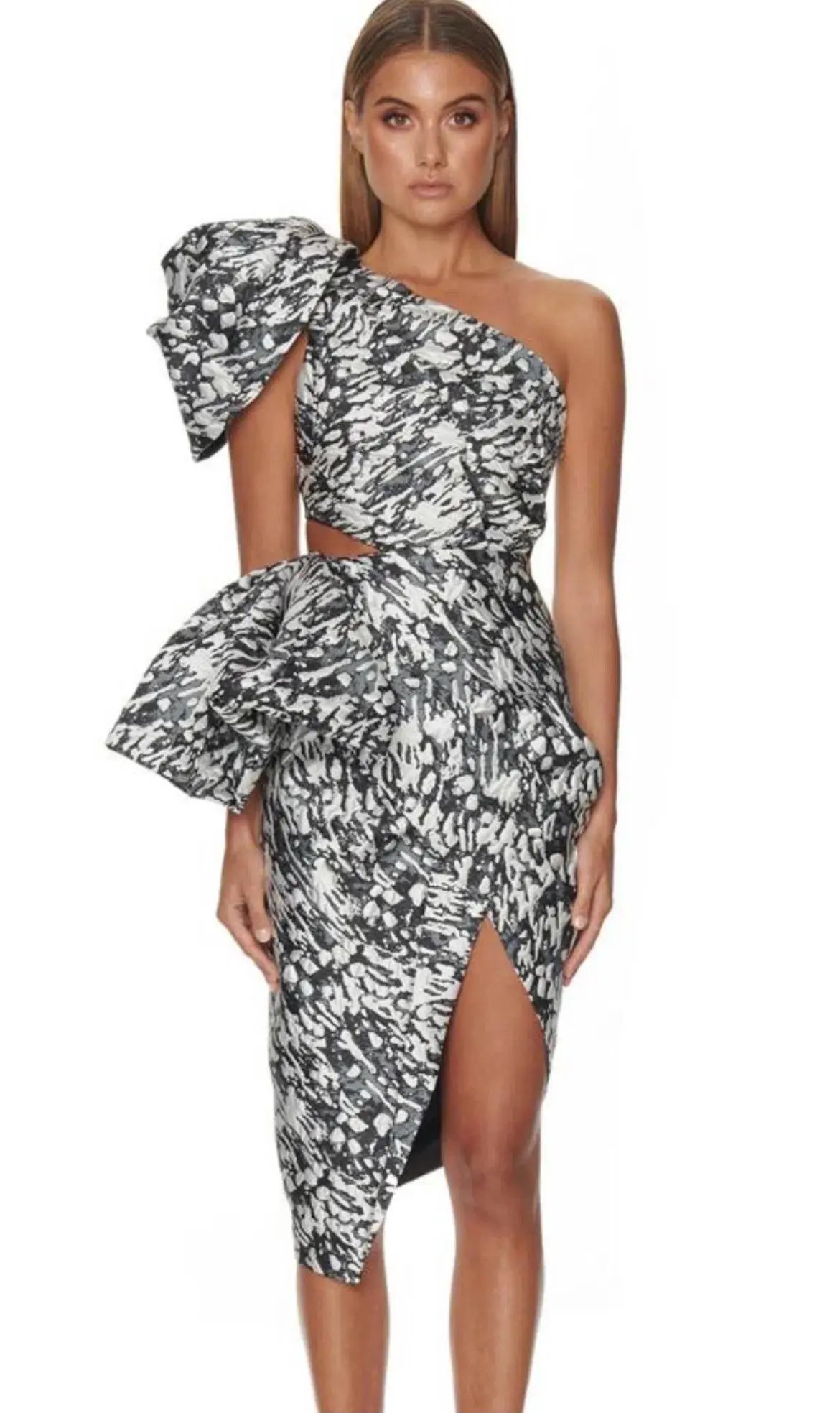 Eliya the Label Azadeh Dress Print Size 12 photo 4