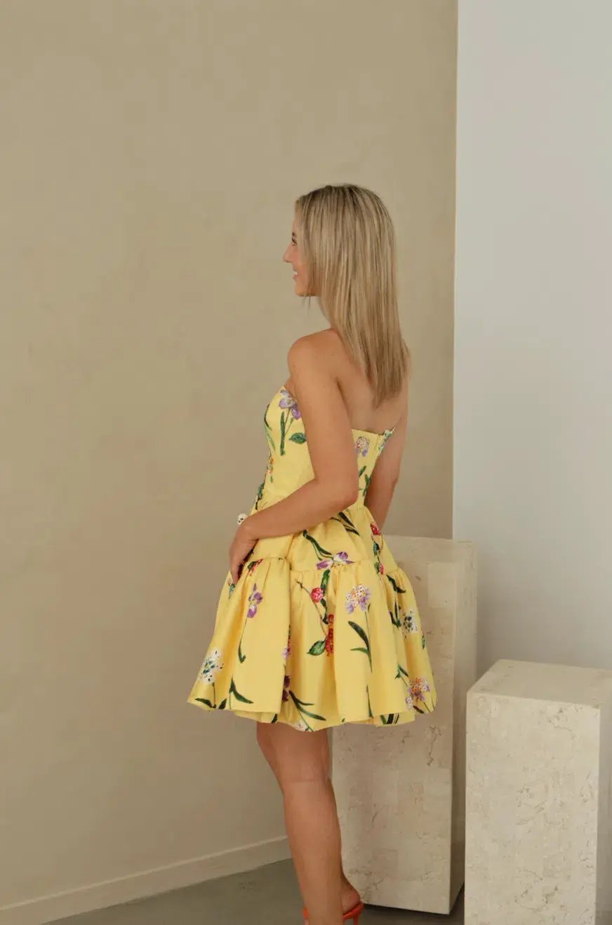 Leo Lin Skye Bustier Mini Dress in Wild Flower in Sorbet Size 8 photo 4