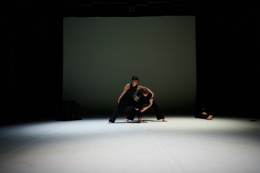 Sylvia Staehli Theatre - Dancehouse photo 3