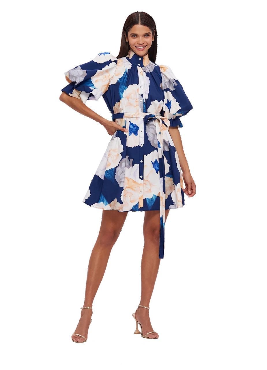 LEO LIN ELI MINI DRESS - ROSEBUD PRINT IN NAVY photo 2
