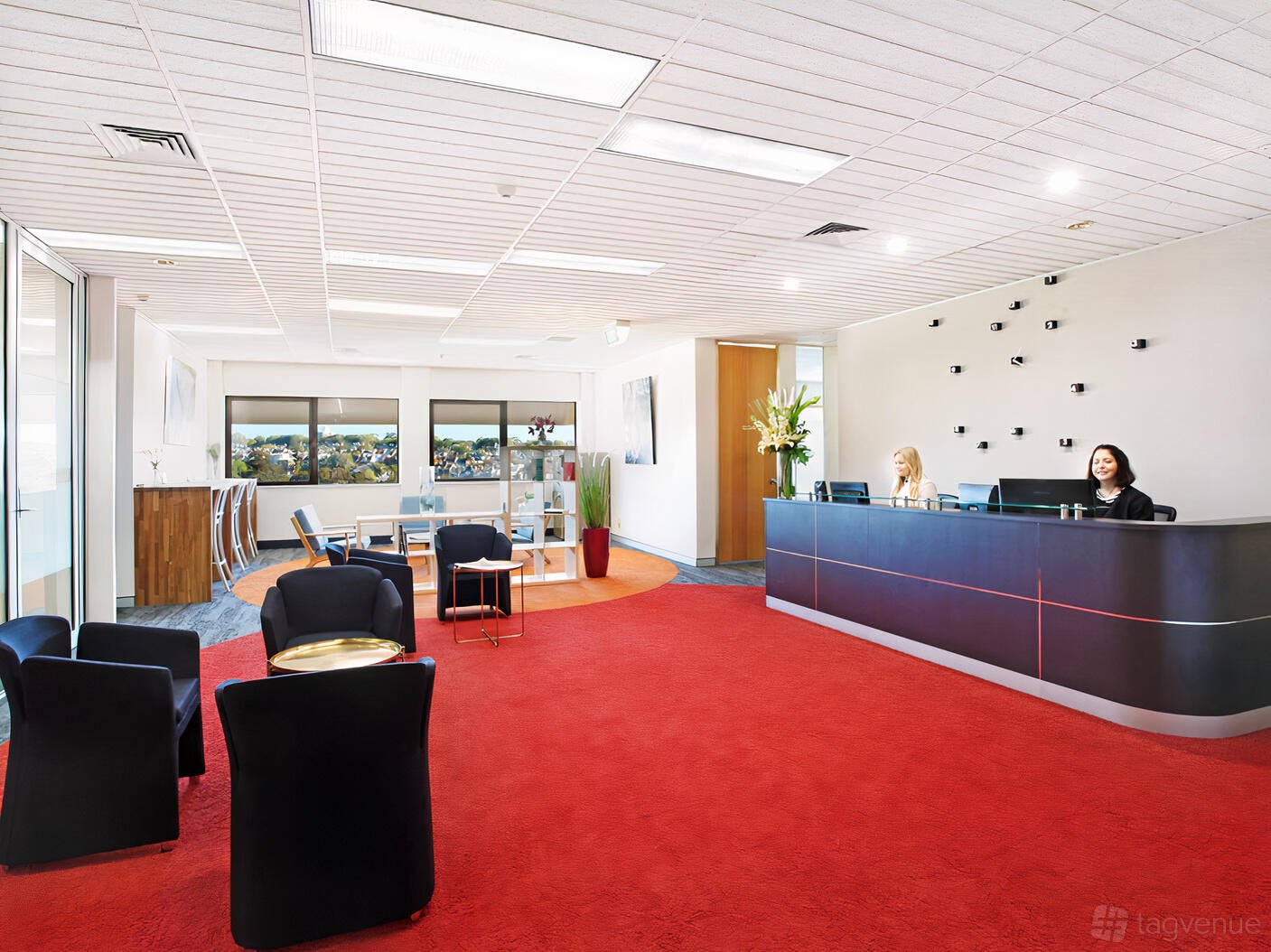 Ruby at Workspace365 Edgecliff Sydney photo 2