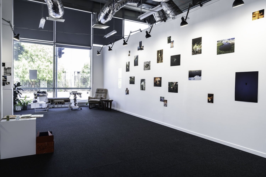 KC Gallery photo 3