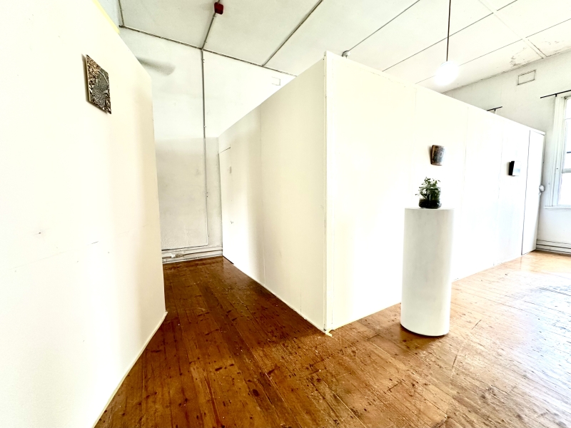 Fitzroy Public Gallery - Big, bright, open space. photo 4