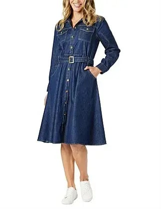 Hammock and Vine Cape Town Denim Dress Size 12 photo 2