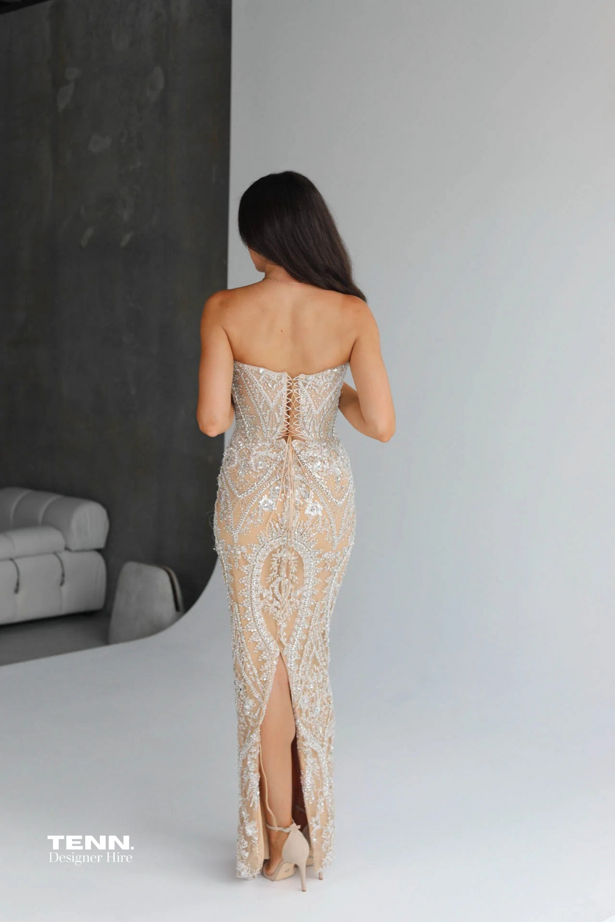 Albina Dyla Treasure Gown (Corset Silver Dress) photo 2