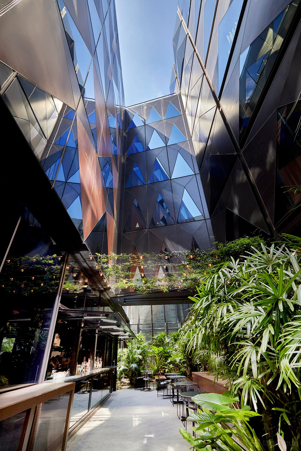 Solander + Atrium at West Hotel Sydney, Curio Collection by Hilton photo 3