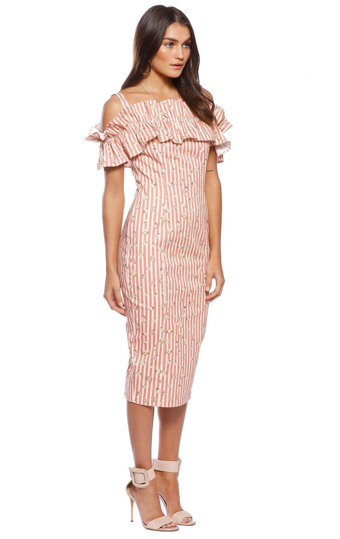 Pasduchas Brio Stripe Midi Dress Print Size 6 photo 3