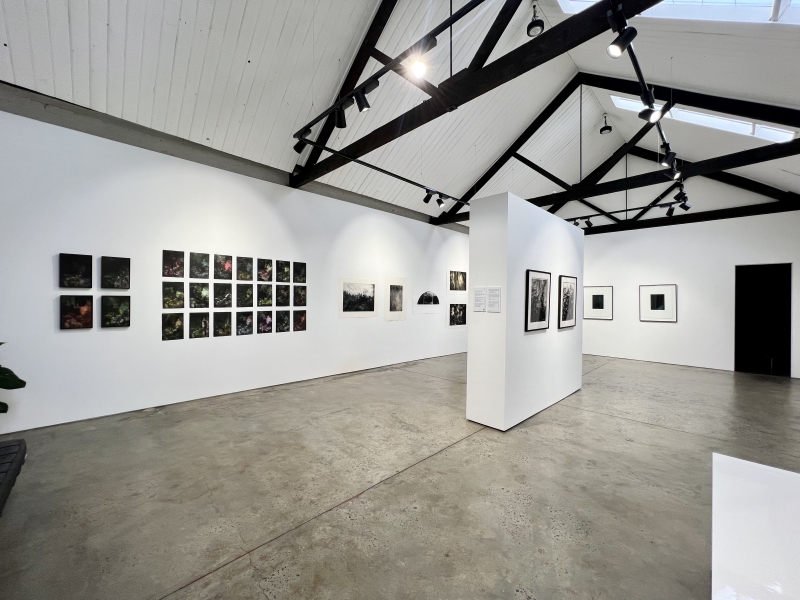 SOL GALLERY photo 2
