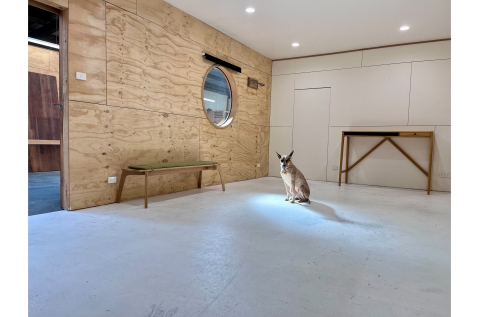 The Studio Melbourne photo 8