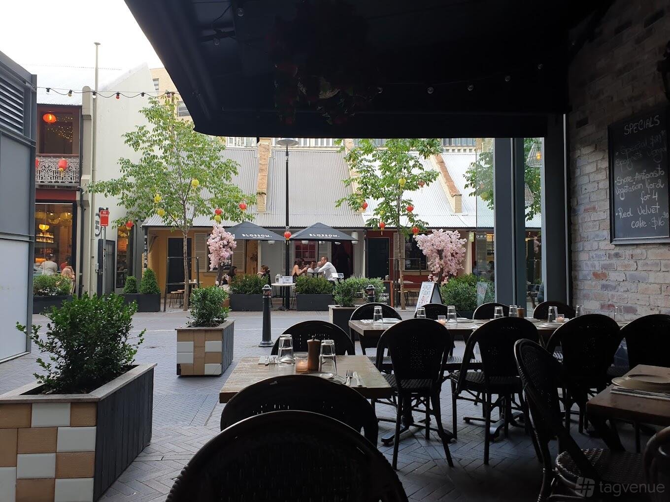 Entire Venue at Andiamo Trattoria Chippendale photo 3
