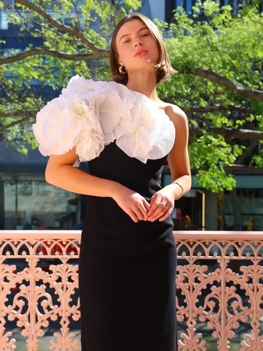Acler Hampstead Dress photo 4