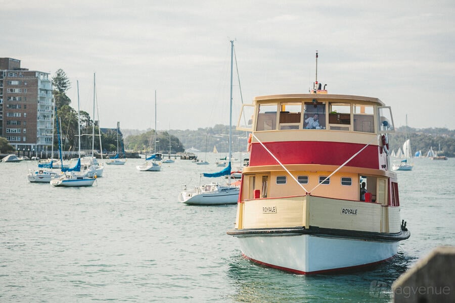 Royale at Rosman Cruises photo 15