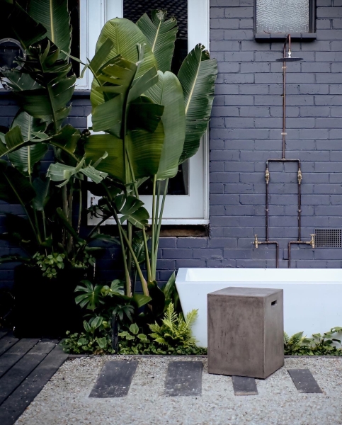 Location 3199 photo 7